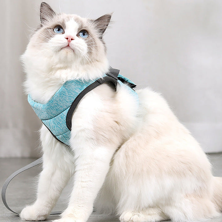 Experience Outdoor Adventures with Your Cat: The Pet Lace Leash and Chest Strap