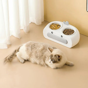 Why Every Pet Needs the Duck Design Pet Double Feeding Bowl Tray Set