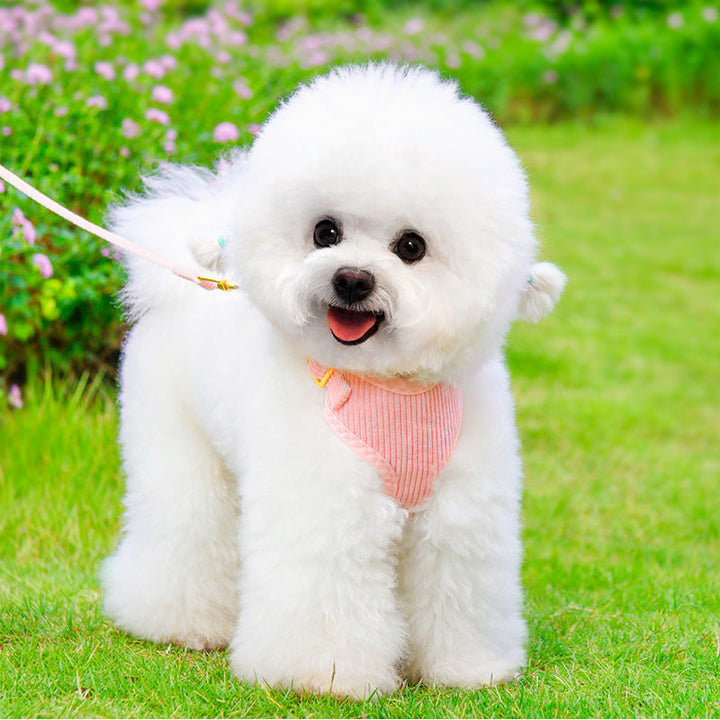 Explore the Great Outdoors with Our Pet Outdoor Walking Leash and Harness