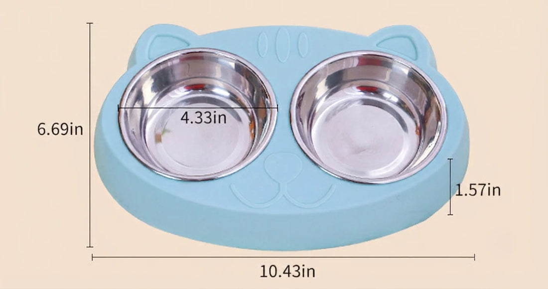Pet Food And Water Feeding Bowl